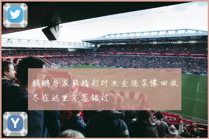 鹈鹕与灰熊精彩对决全场录像回放尽在这里不容错过
