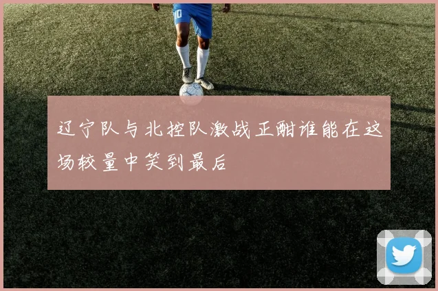 辽宁队与北控队激战正酣谁能在这场较量中笑到最后