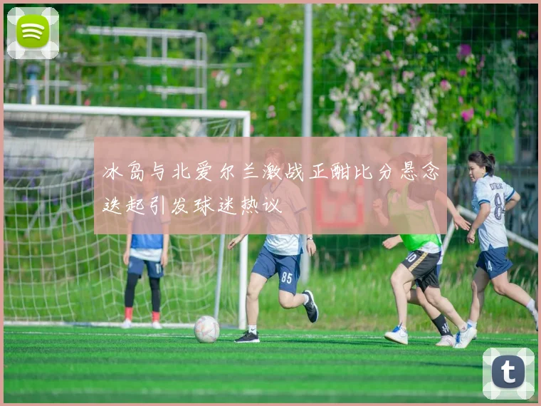 冰岛与北爱尔兰激战正酣比分悬念迭起引发球迷热议
